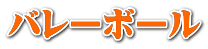 バレーボール