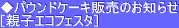 pEhP[L̔̂m点 meqGRtFX^n 