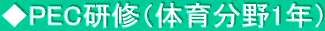 PECCï番1Nj