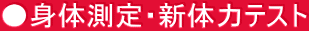 g̑EV̗̓eXg