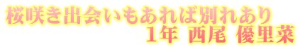 炫oΕʂꂠ@ @@@@@@@1N  D