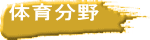 体育分野
